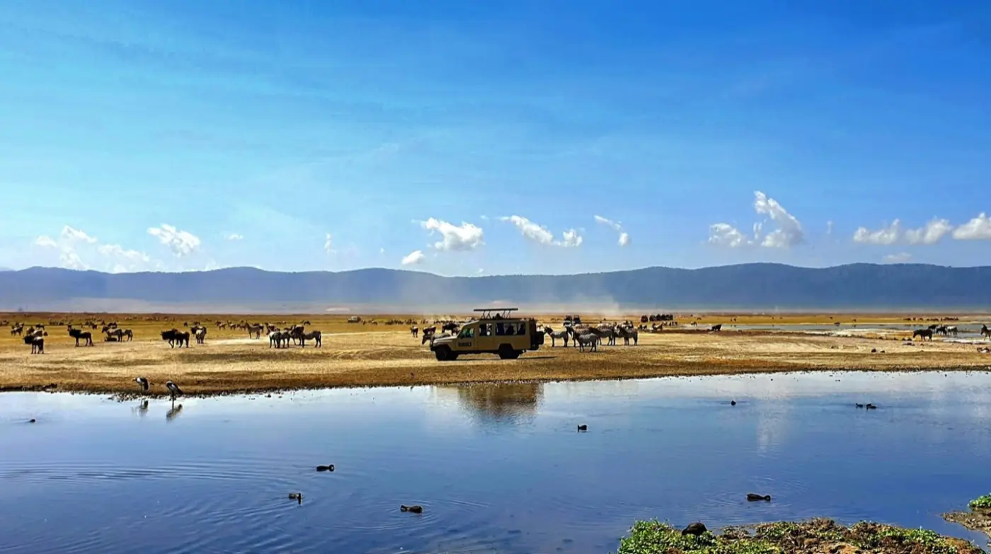 Tanzania: Ngorongoro